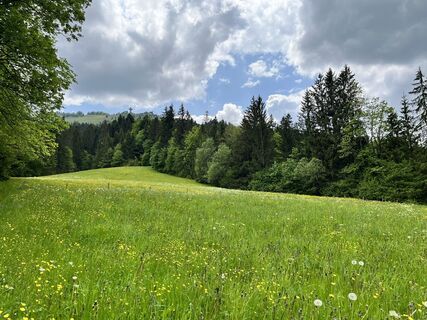 Foto von Kerstin Albrecht entlang der Tour