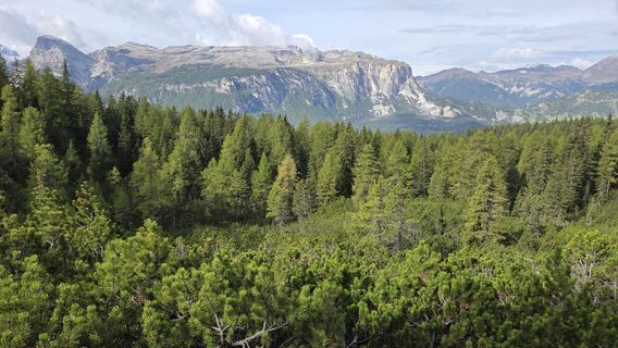 Fotografija s spletne strani V Feurstein na poti
