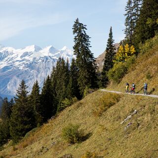 Vier-Seen-Biketour