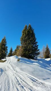 Foto van Stefano divina langs de tour