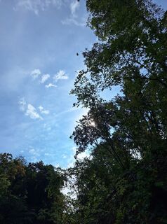 Fotografija s spletne strani Marion Masilko na poti