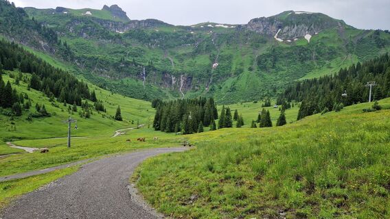 Fotografie z Gerrit van der Linde na trase
