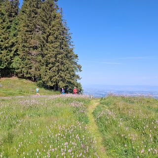Horbühlpass - Riffenmatt-Pfyffe Trailrun
