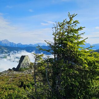 Am Weg zum Maurerkogel – Ausblick auf die Steinberge