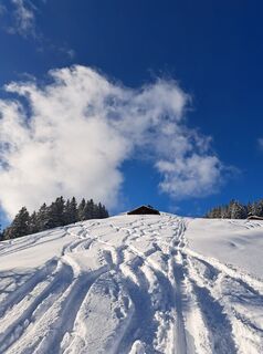 Fotografija s spletne strani Michael Rohrmoser na poti