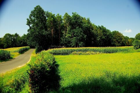Schöne Landschaften begleiten uns