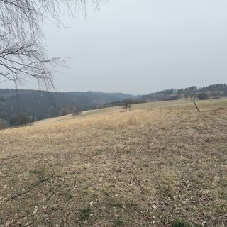 Fotografija s spletne strani Steffen Kiesel na poti