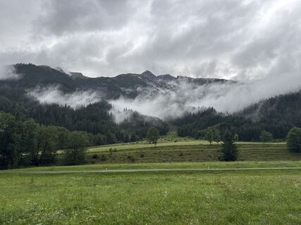 Foto von Grizzli entlang der Tour