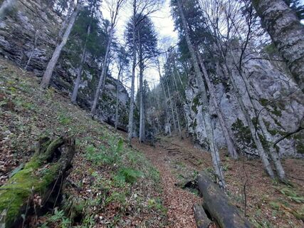 Фото с сайта Artemis83 во время экскурсии