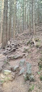 Fotografia z Hallunke Frank na trase