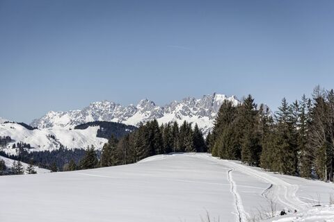 Streubödenrude (c) TVB PillerseeTal_Ewelina Herzog (1).jpg