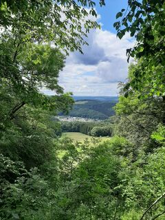 kleineburgrunde_quiddelbachatscheffold-kopie