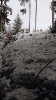Fotografie z Pur Alexander na trase