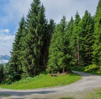 Unterwegs auf dem Wander- und Bikeweg Hochsonnberg
