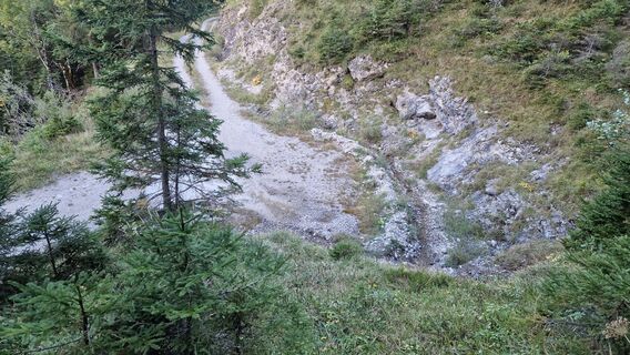 Hier die Stelle, wo es vom Forstweg nach rechts hoch in den Trampelpfad zur Jagdhütte geht (genau bei 1300m).
