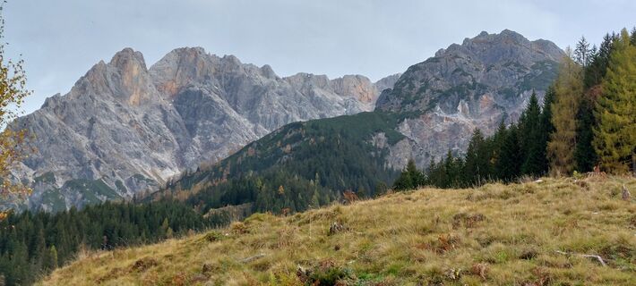 Photo de Waldfred le long du parcours
