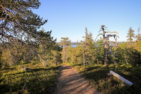 Pyhän Jyssäys Pfad in Ruka, Kuusamo