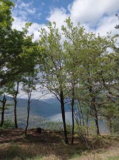 Foto von Aner entlang der Tour