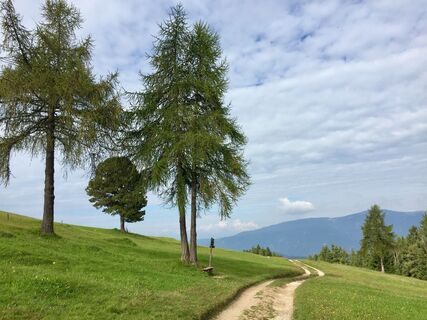 Photo de “Jerry” Brunetti le long du parcours