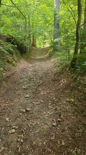 Foto von Susanne Linzbacher entlang der Tour