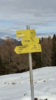 Foto von Mangolein entlang der Tour