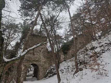 Photo de michael hanisch le long du parcours