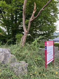 Brugruine Eversberg Info