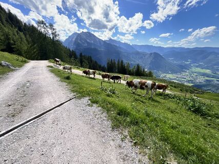 Foto von Roykepp entlang der Tour