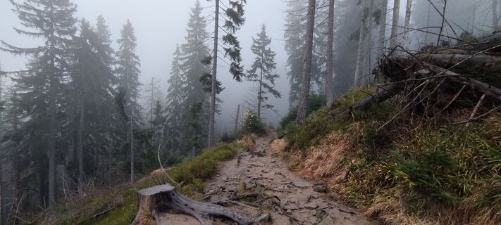 Foto de Sylwiasuchy76 a lo largo del recorrido