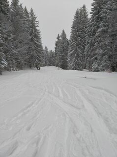 Foto fra frantsch underveis på turen