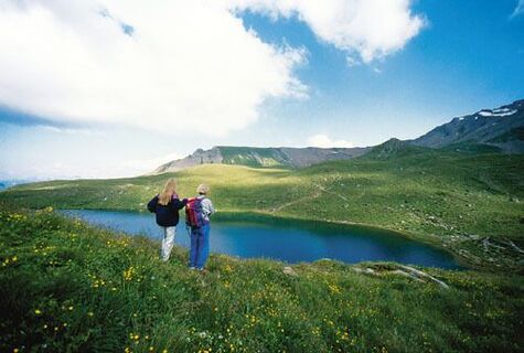 Torsee