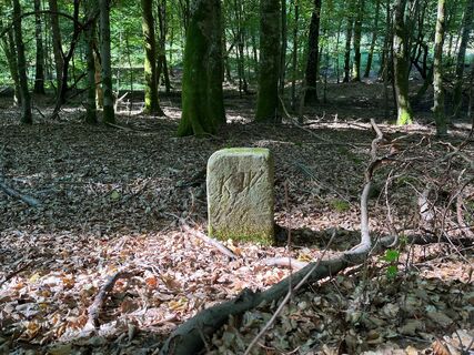 Grenzstein im Weißlbachtal