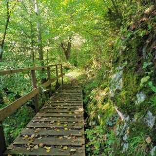Salzaklamm