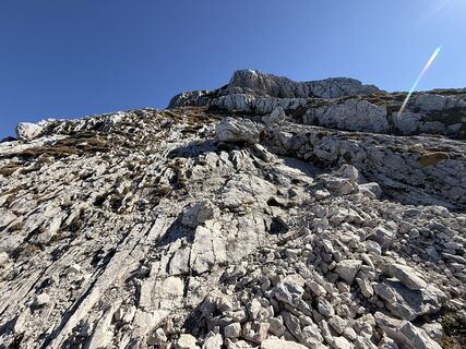Fotografie z Natur_erleben_dg na trase