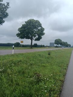 Zdjęcie z Marcus Dürr wzdłuż trasy