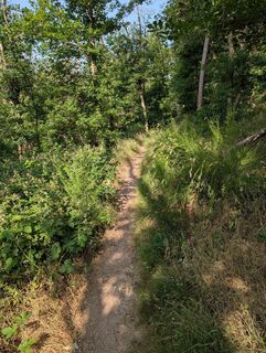 Fotografia z Herve Andeler na trase