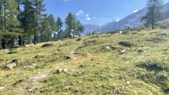 Foto von Pezzotta entlang der Tour