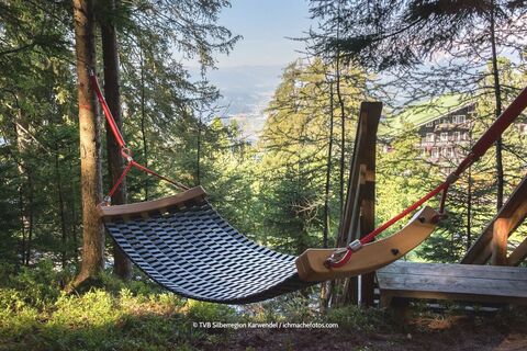 HÄNGEMATTENPLATZ PILLBERG GRAFENAST