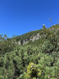 Fotografie de la Kerstin Rohrer de-a lungul turului
