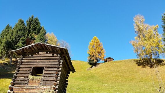 Entlang des Weges, Blick auf gepflegte Bergbauernwiesen