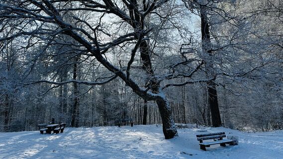 Photo de Diva63 le long du parcours