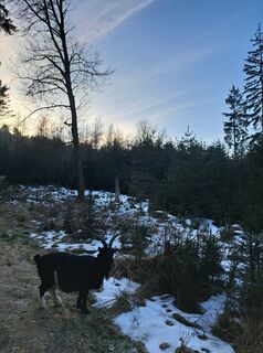 Fotografie z Schwartzhox na trase