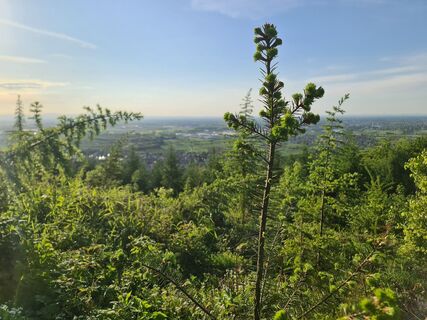 Foto von W B MA entlang der Tour