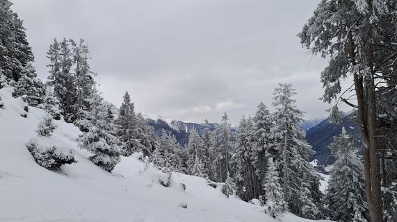 Foto von Gibi entlang der Tour