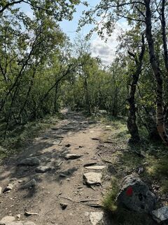 Fotografia z Justin Rider na trase