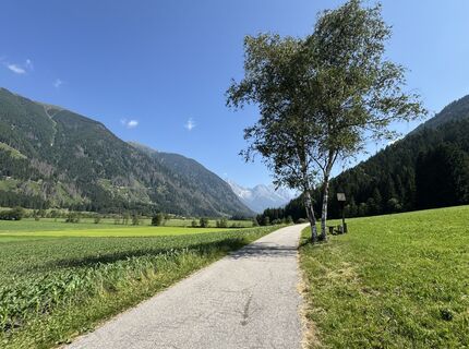 Biotopo da Rasun di Sopra, Trentino-Alto Adige/Italia