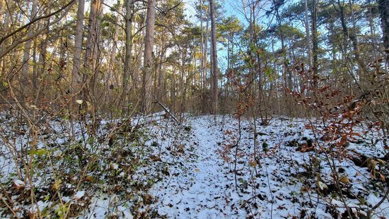 Photo de EP87 le long du parcours