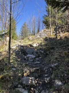 Fotografie de la Martin Hentschel de-a lungul turului