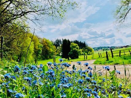 Am Wegesrand