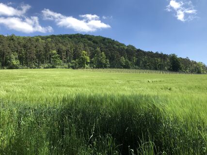 Foto von Martin Würsch entlang der Tour